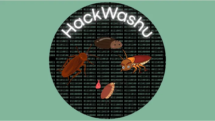 HackWashU - publisher preview